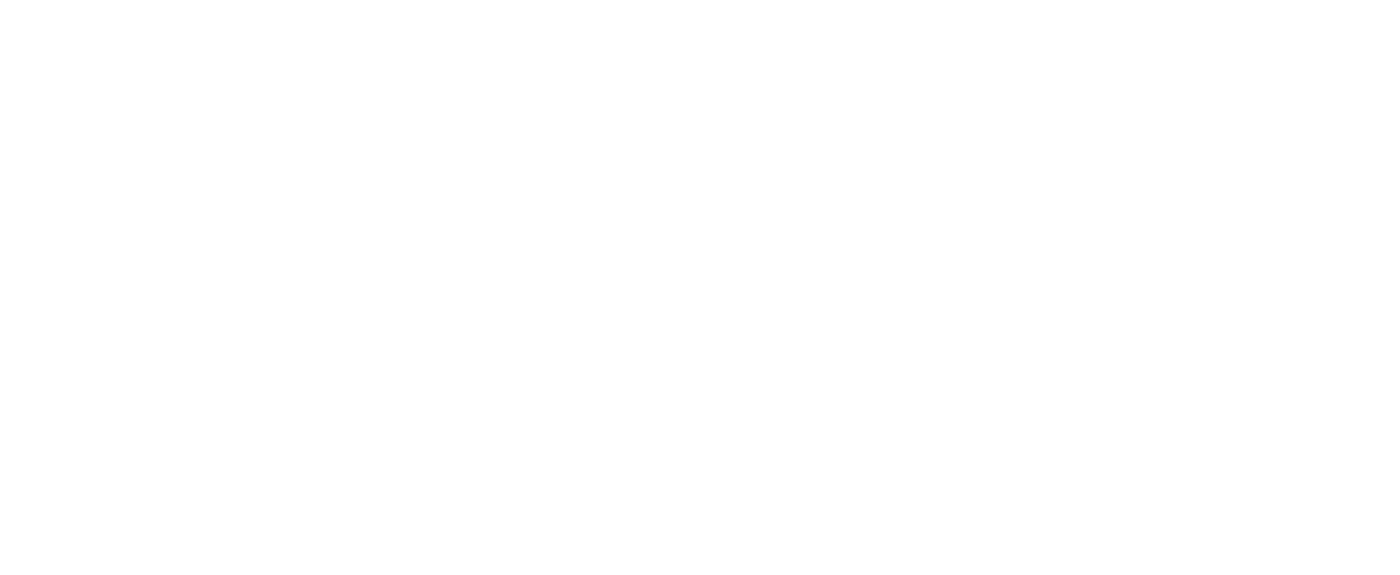 Ali's Gold Palace Metals & Gems Trading LLC